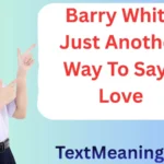 Barry White Just Another Way to Say I Love