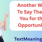 Another Way to Say Thank You for the Opportunity