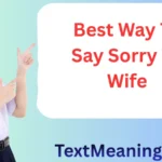 Best Way to Say Sorry to Wife