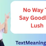 No Way to Say Goodbye Lush