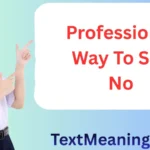 Professional Way To Say No